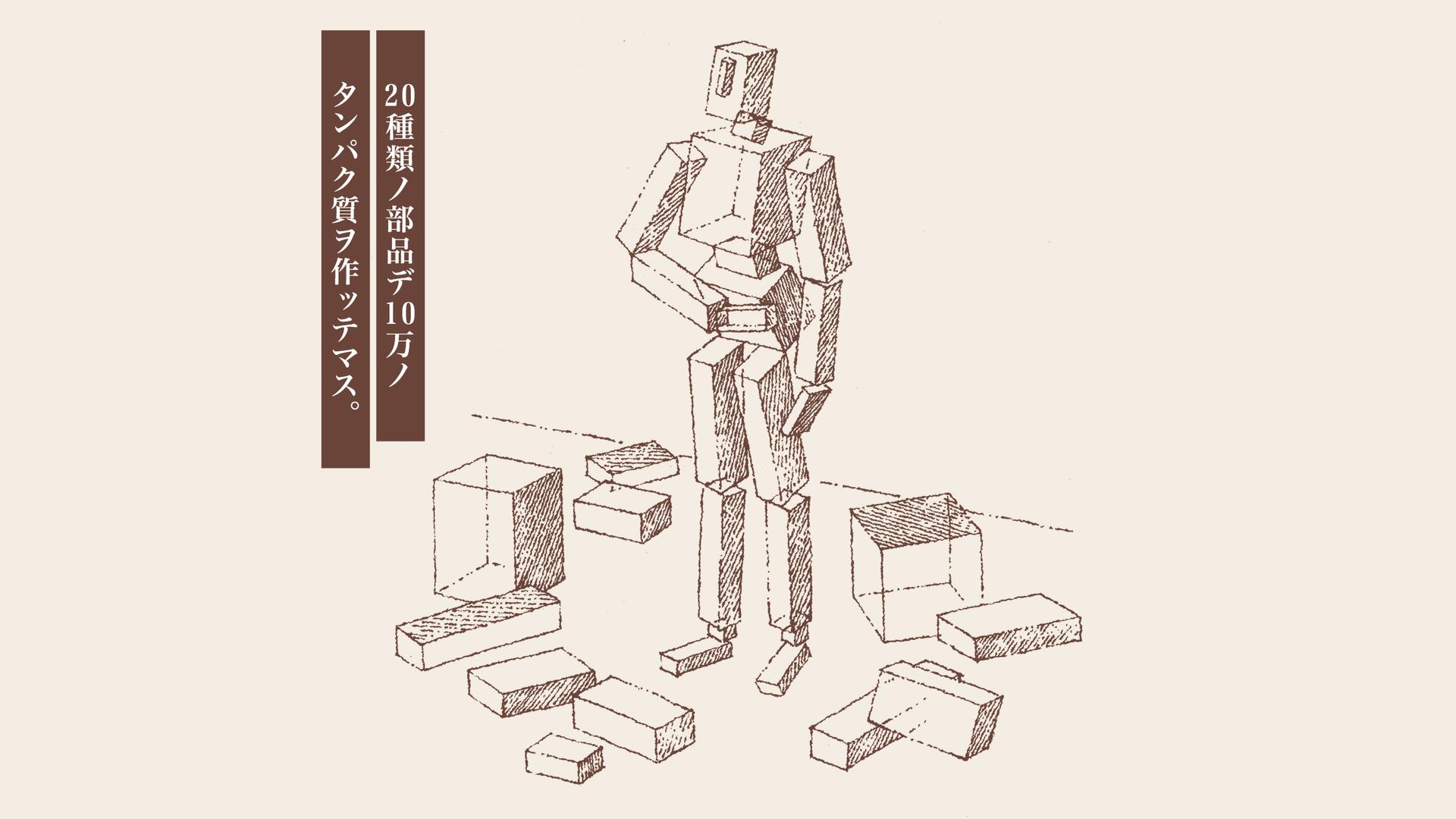 どうしてヒトは、タンパク質を摂らなきゃダメなの？
