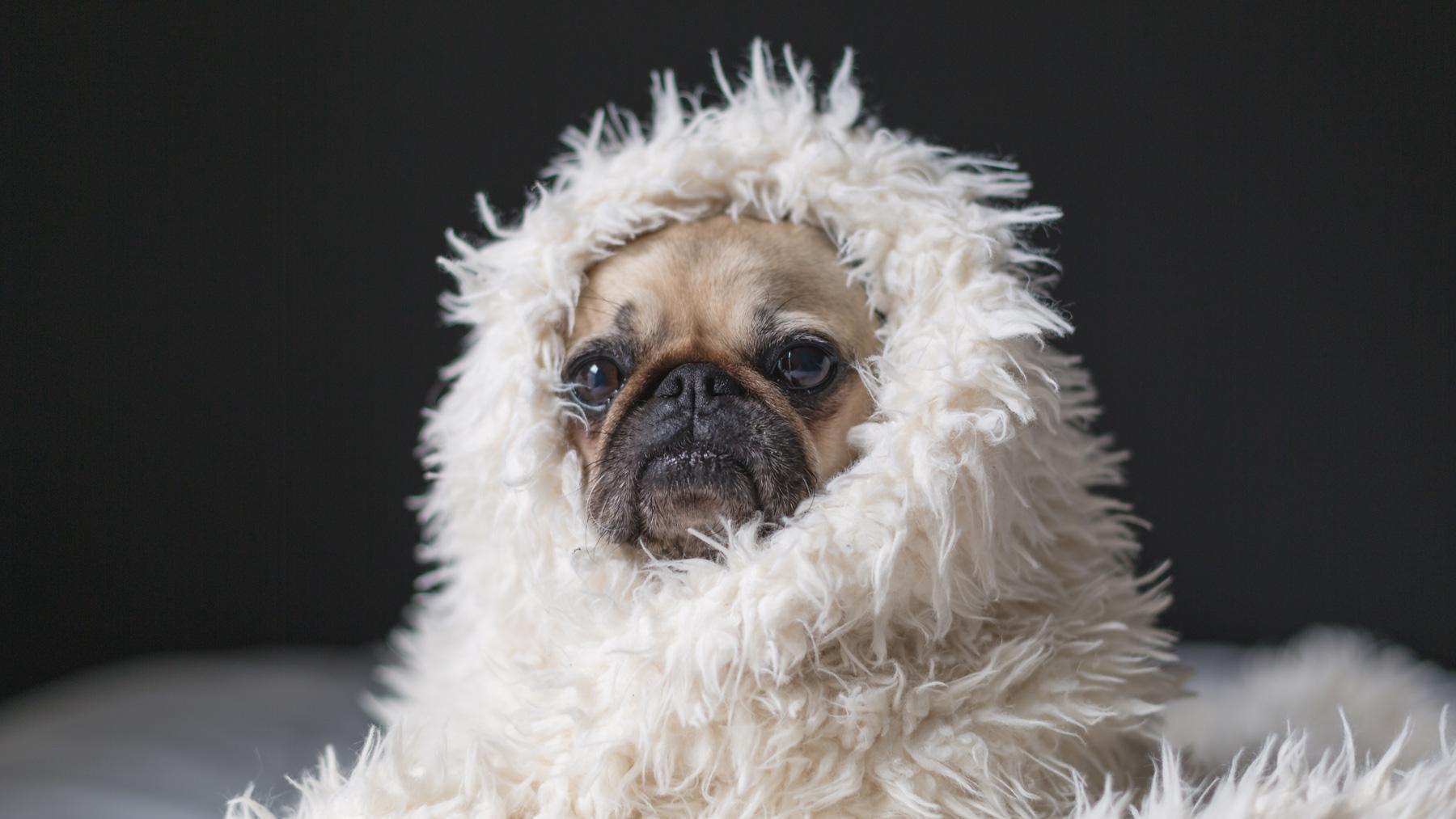 夜、脳疲労をリセットする3つのテクニック｜心身も神経も、すべて脳の疲労でした