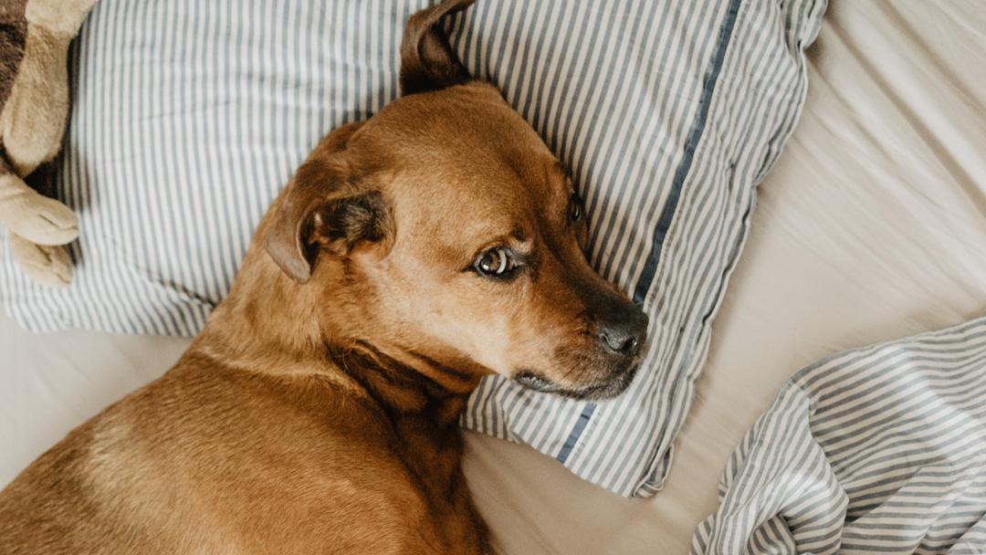 昼間、脳疲労をリセットする3つのテクニック｜心身も神経も、すべて脳の疲労でした