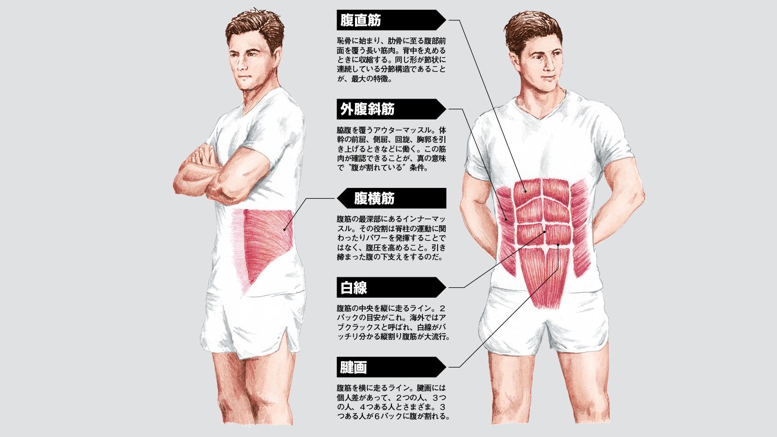 シックスパックの3つの条件