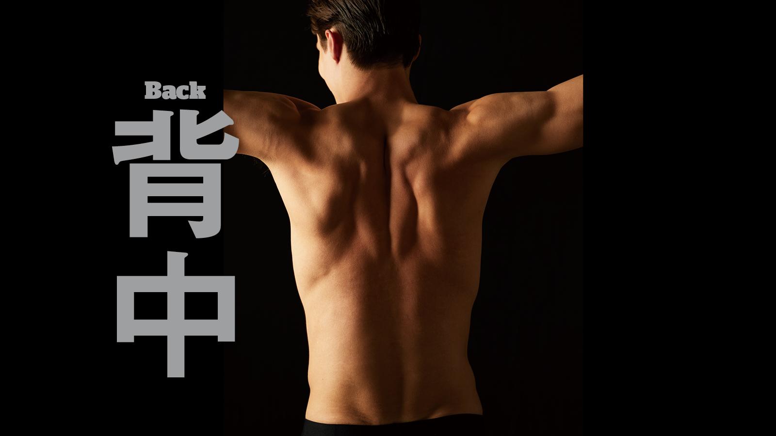 姿勢維持の中核をなす部位別トレーニングの要。背中の筋肉群を制する者はすべてを制するのだ！