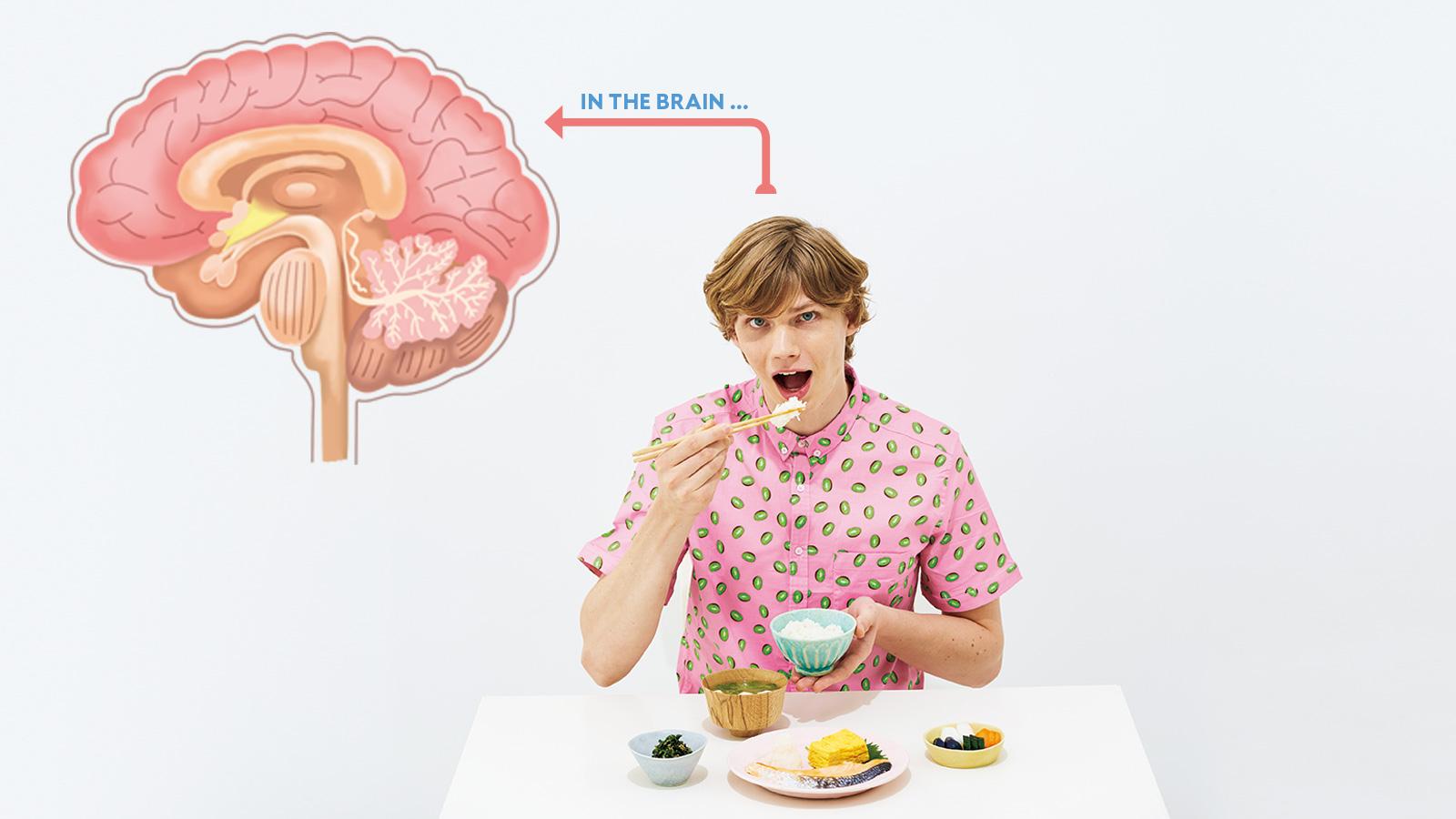 なぜ夏の食欲は乱れるのか？ そのメカニズム