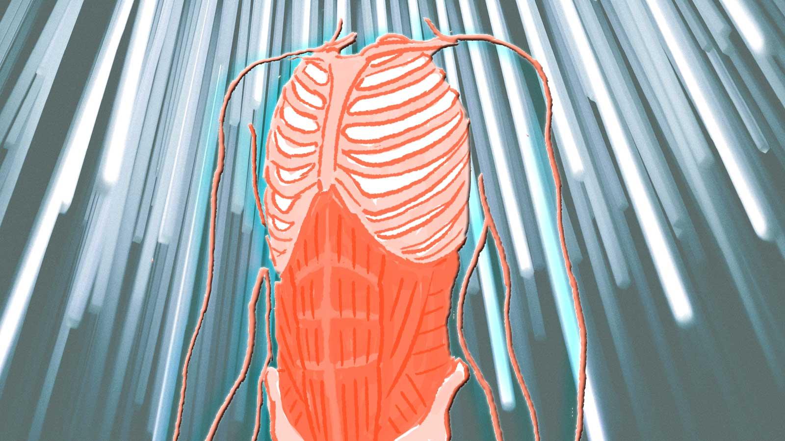 美しい座り姿をつくるのは、腹横筋です