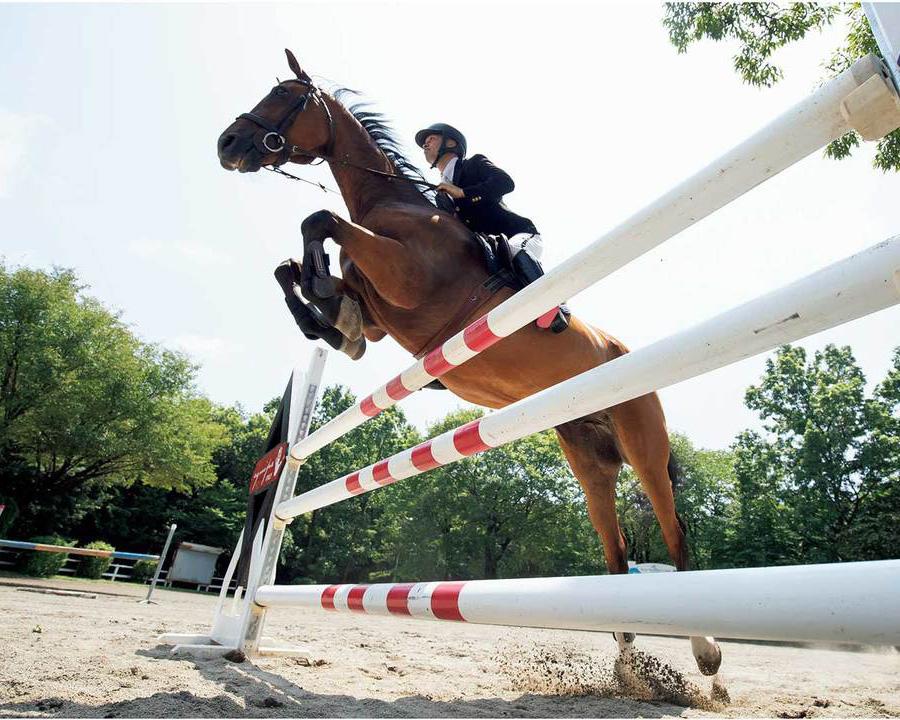 「多くの人が馬と触れ合えるようになるように」障害馬術・広田龍馬、広田思乃
