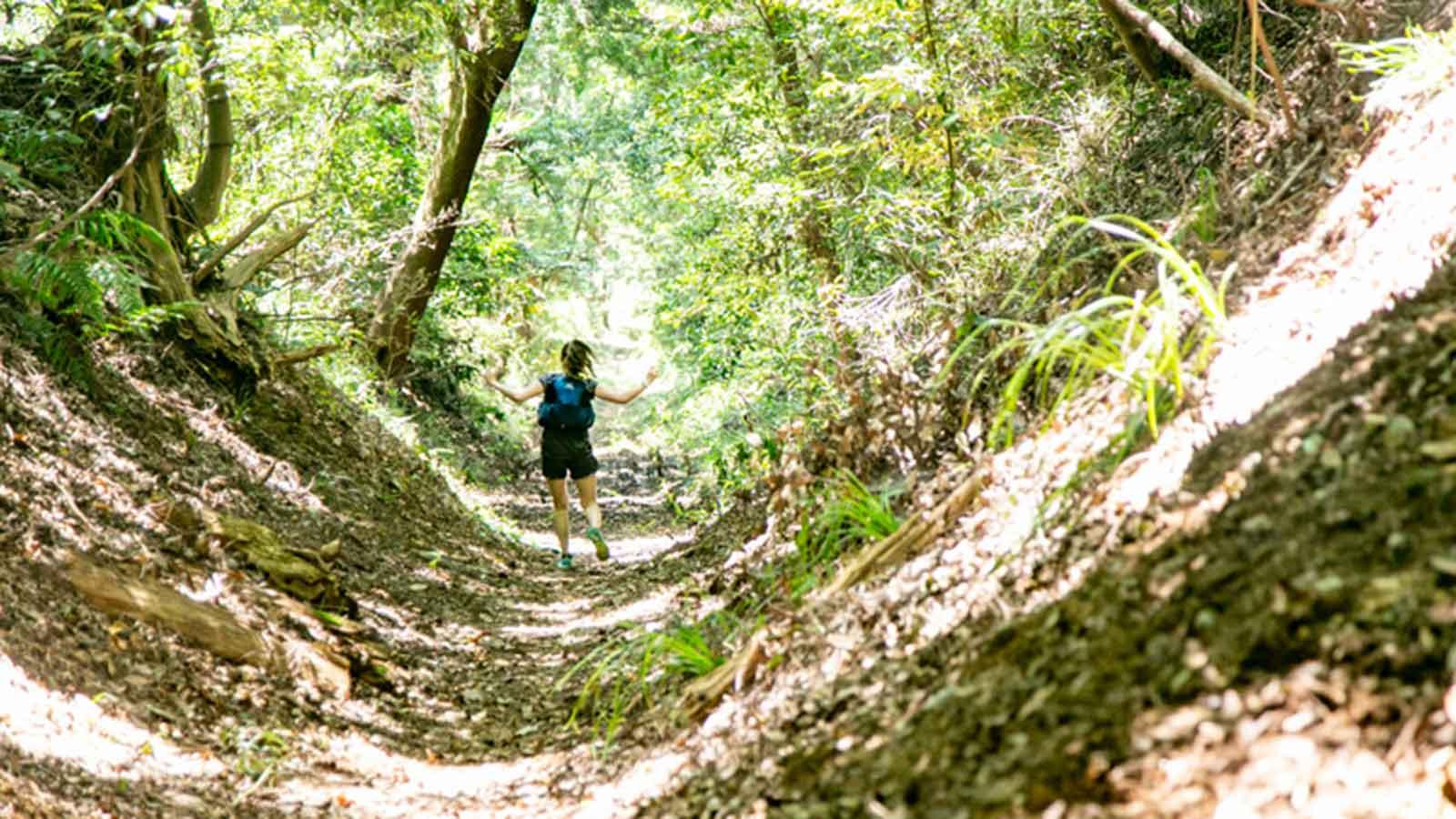 雑誌連載 Tarzan Trails［東京・相原高尾］トレイル GPSデータ（774号）