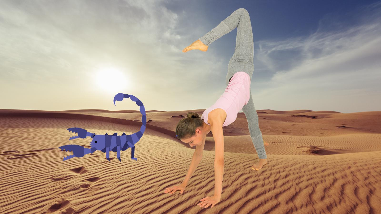 肩こり・腰痛、疲労感には、野生の動きを取り戻すトレニーニング「アニマルムーブメント」初級編を！