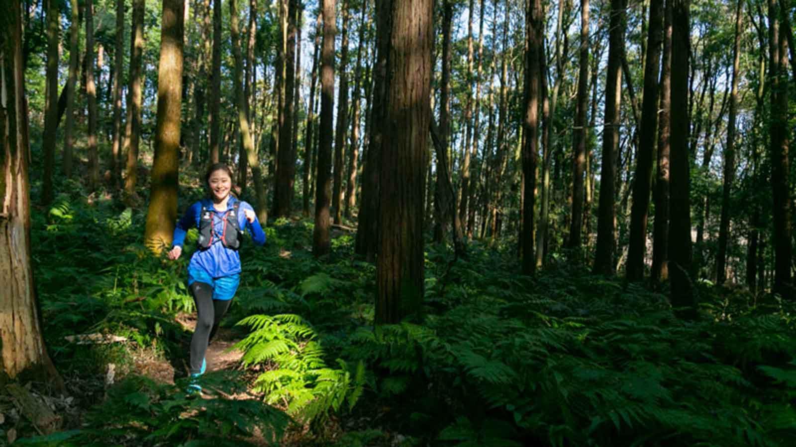 雑誌連載 Tarzan Trails［神奈川・横浜自然公園］トレイル GPSデータ（782号）