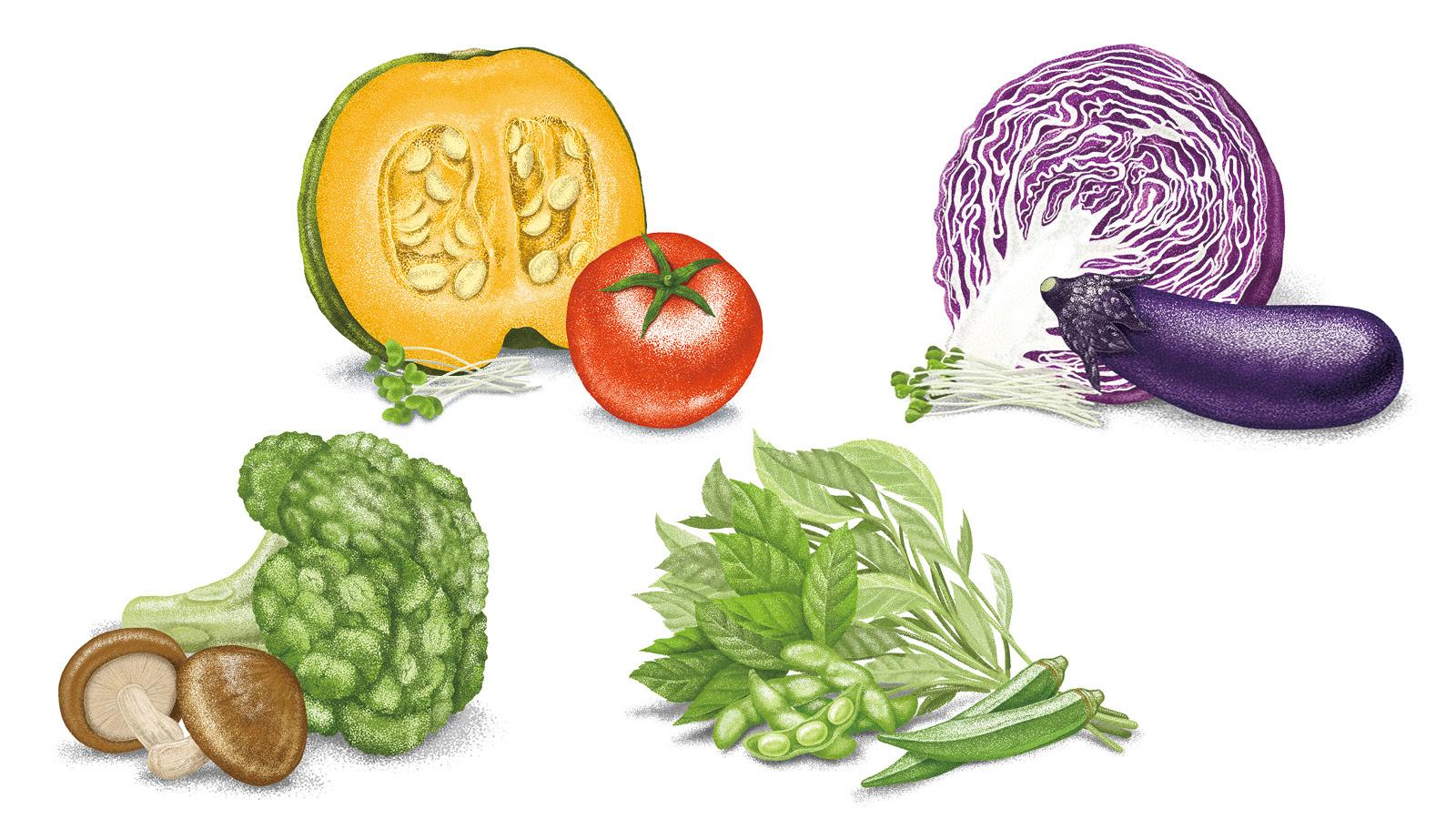 タンパク質にプラスすればもっと効く。野菜の賢い食べ方