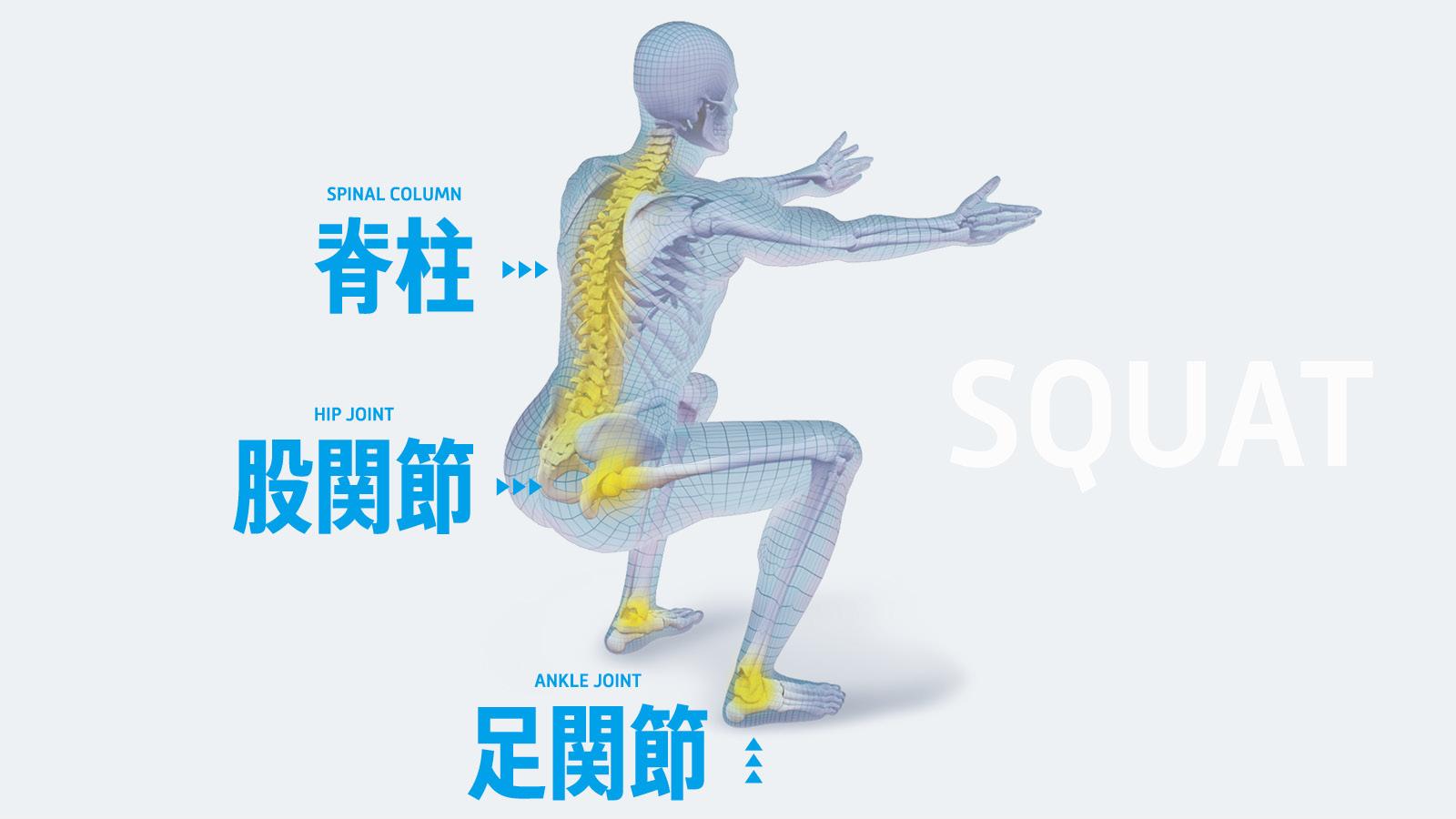 3大筋トレ・スクワットの絶対条件は「3大関節」の可動域！