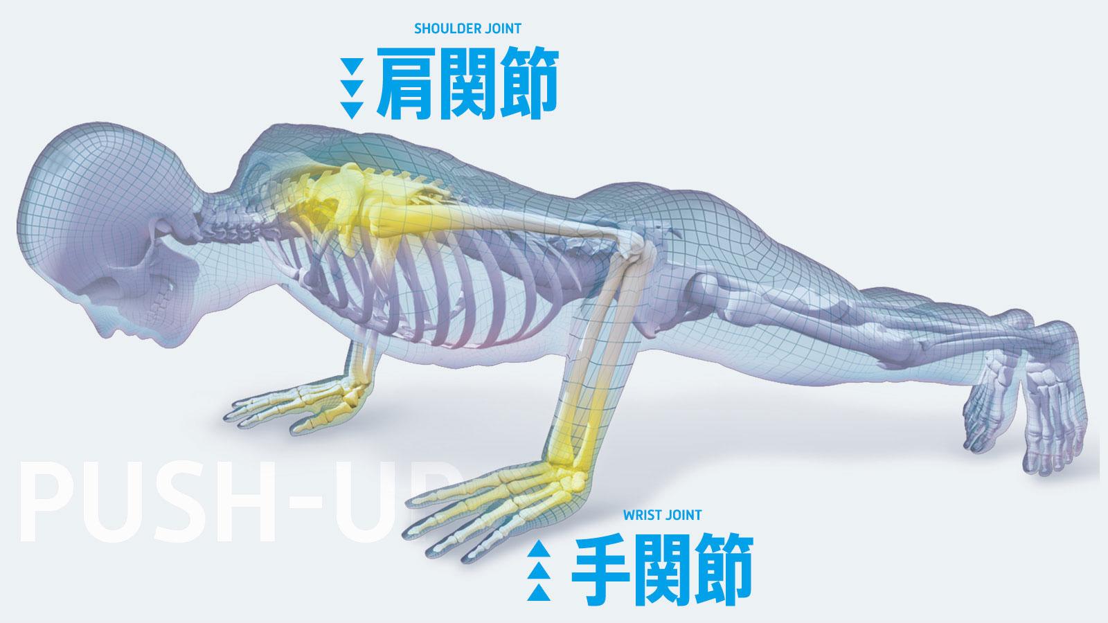 3大筋トレ・ウデタテの絶対条件は「肩関節」と「手首」の可動域！