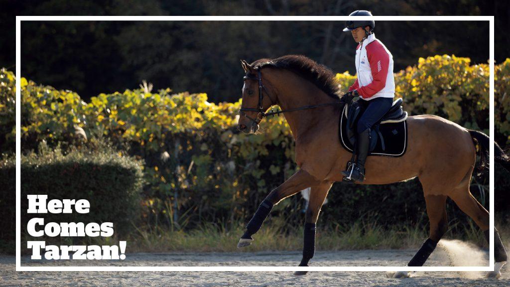 「次世代の選手のために、僕がまず道筋を作っていきたい」馬場馬術選手・林伸伍