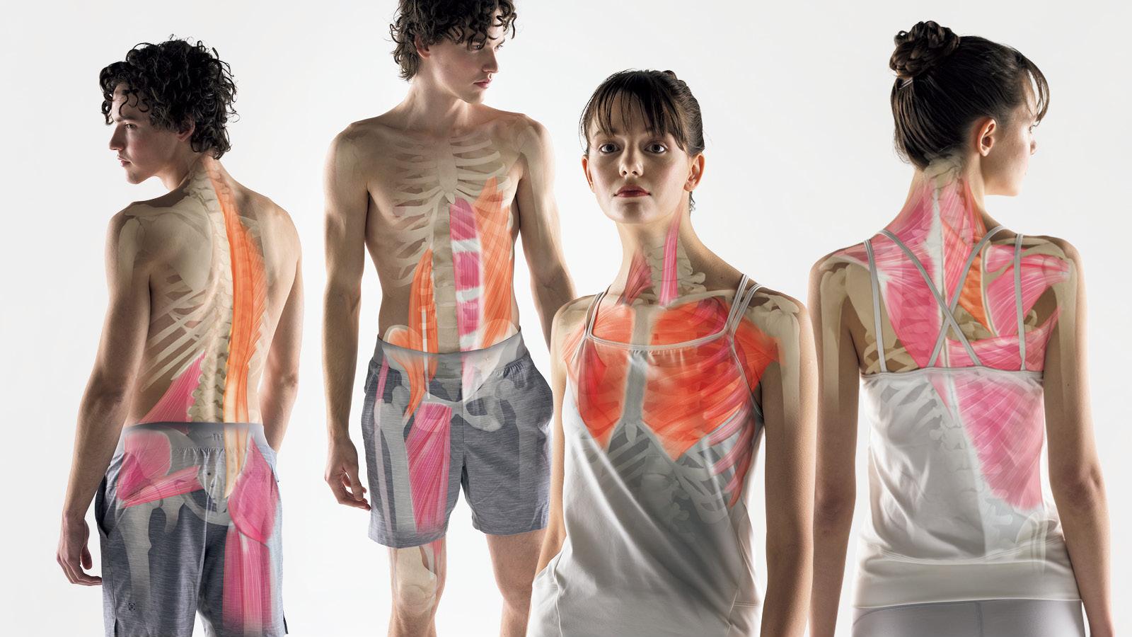 セルフケアできる「肩こり・腰痛を引き起こす」筋肉