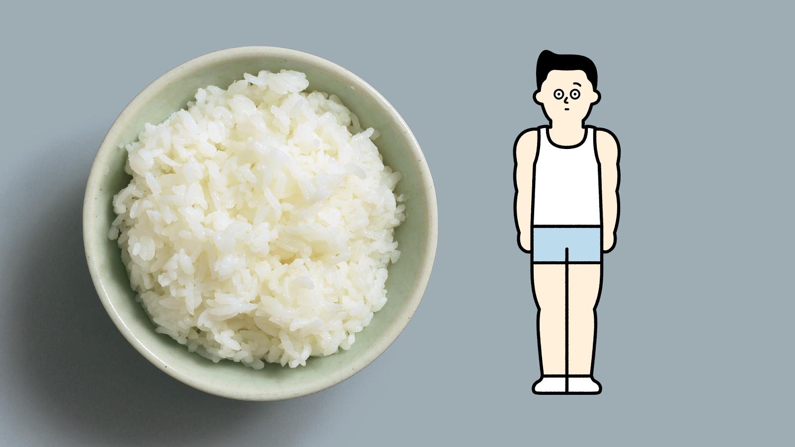 筋トレに糖質が必要な理由 & 「増量期・減量期」の糖質摂取量の目安