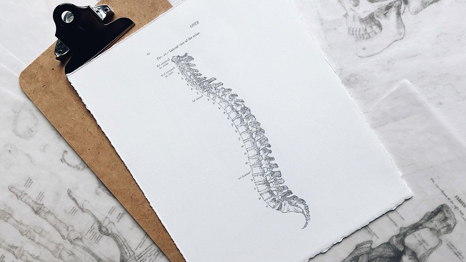 朝、出かける前に背骨リセット。姿勢＆歩き方の正解