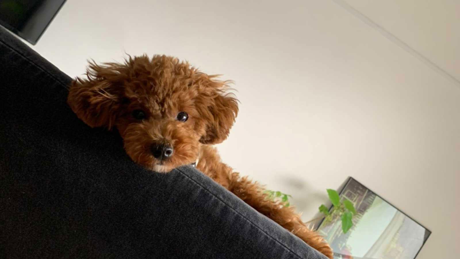 自律神経を整える、入浴のススメ（バレエダンサー・井福俊太郎さん）