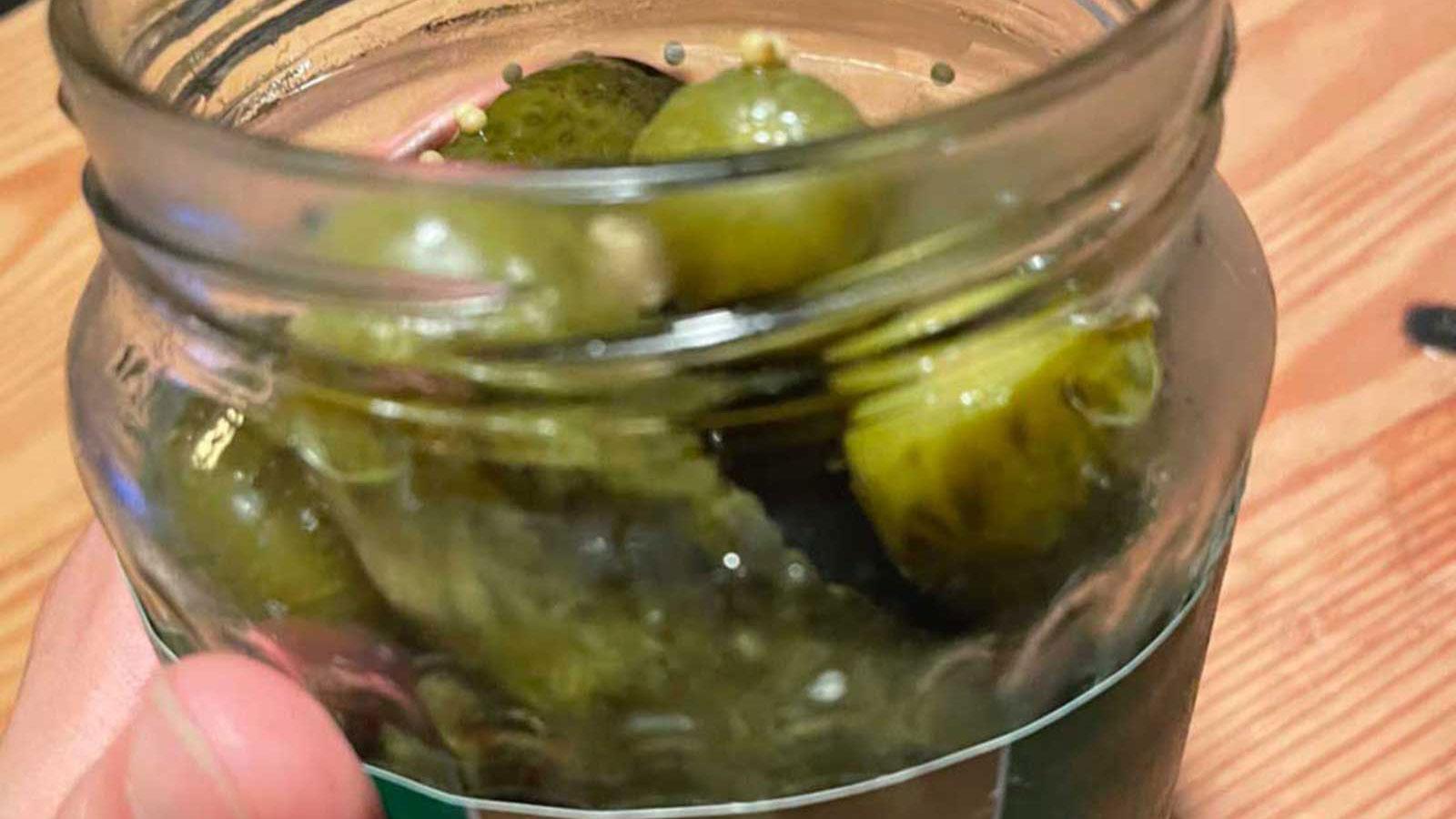 野外公演の疲労回復にはピクルス！（バレエダンサー・井福俊太郎さん）