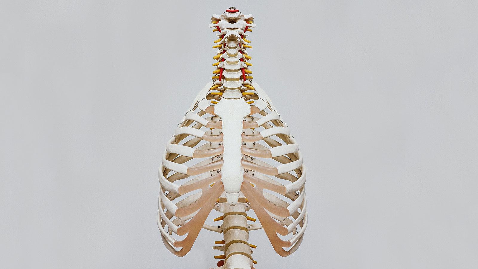 起床後は1cm身長が高い？ 腰痛のメカニズムは？ 目から鱗な「背骨9つの真実」