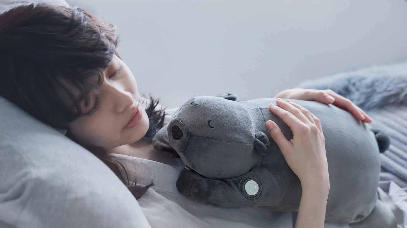 「くまの呼吸」が心地よい睡眠に誘う、新製品