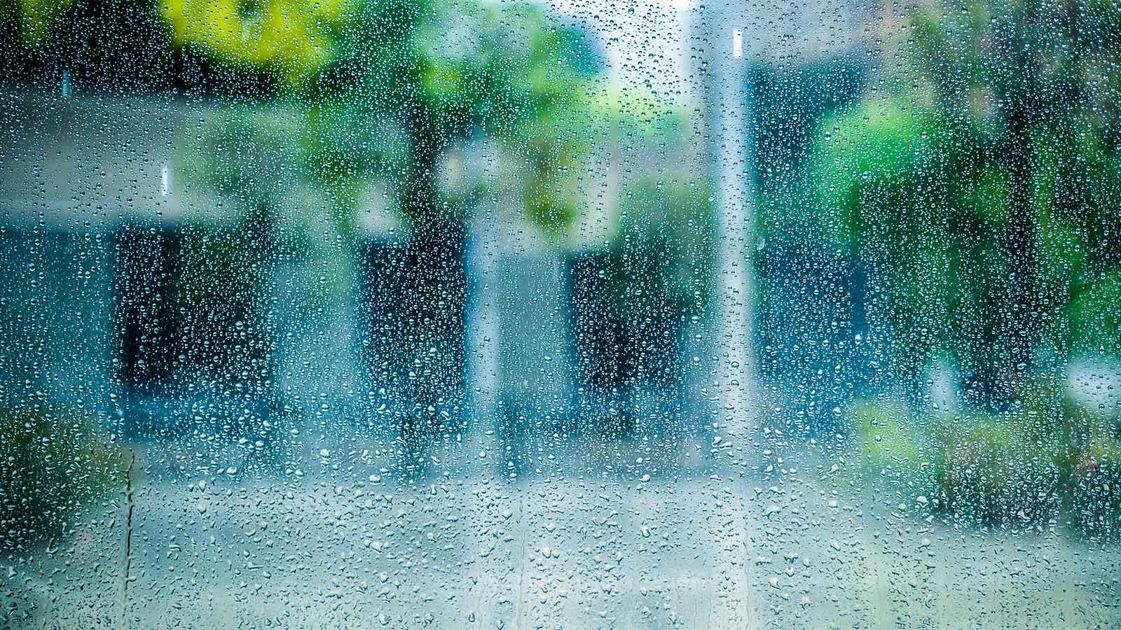 窓越しに雨が降っている様子