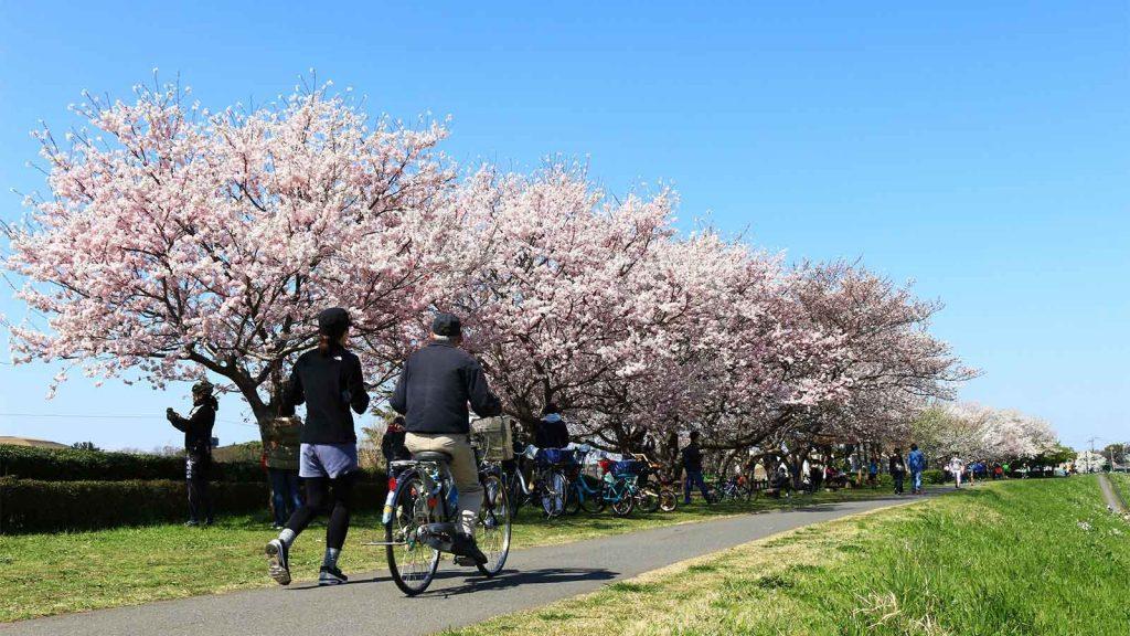 セロトニンの分泌も促す！散歩の効果と注意点（漢方薬剤師・鹿島絵里さん）