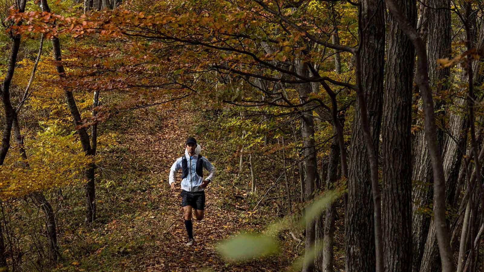 雑誌連載 Tarzan Trails 神奈川県［万六ノ頭］トレイル GPSデータ（856号）