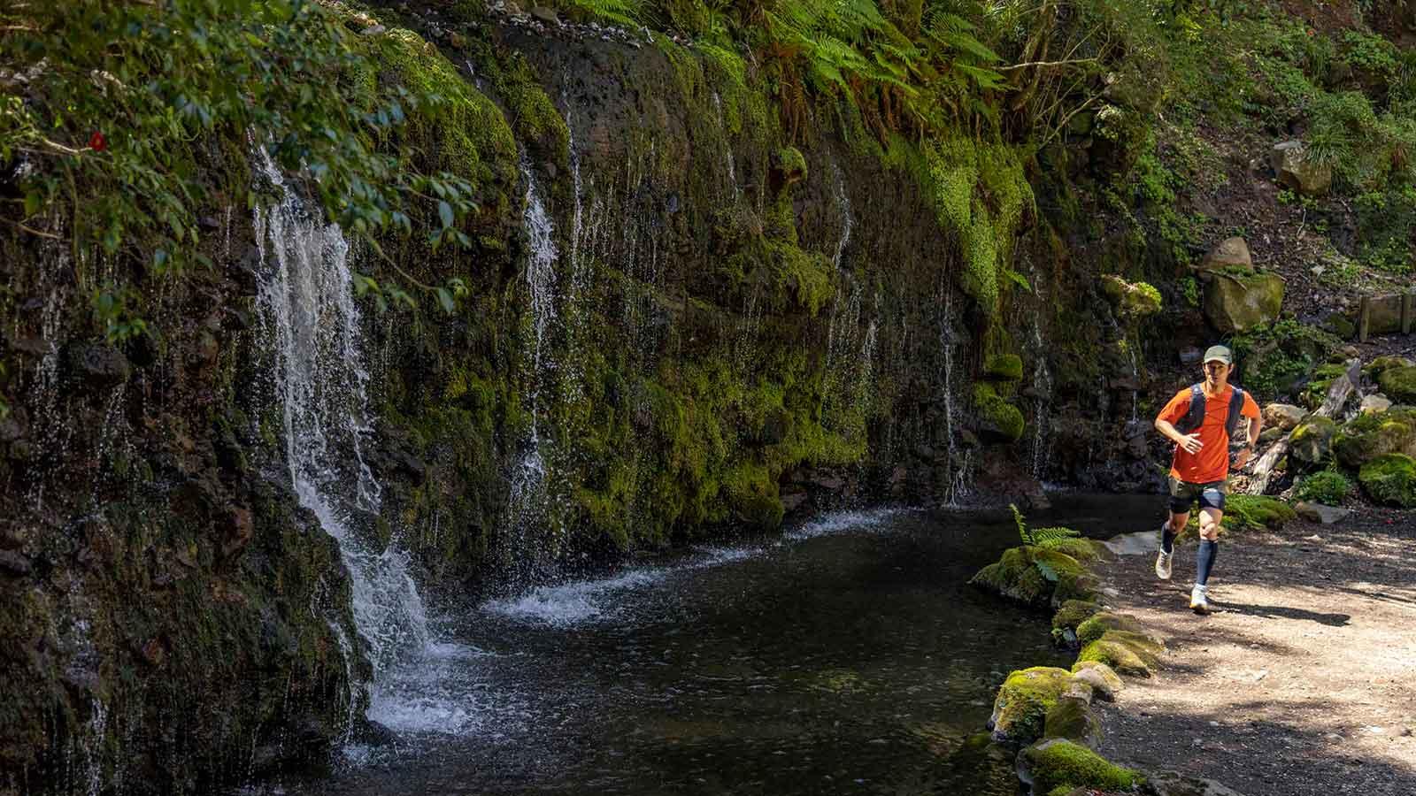 雑誌連載 Tarzan Trails 神奈川県［箱根湯坂路］トレイル GPSデータ（868号）