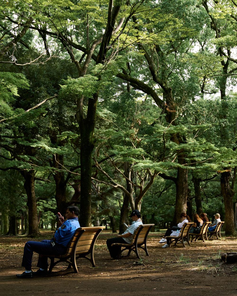 代々木公園の風景