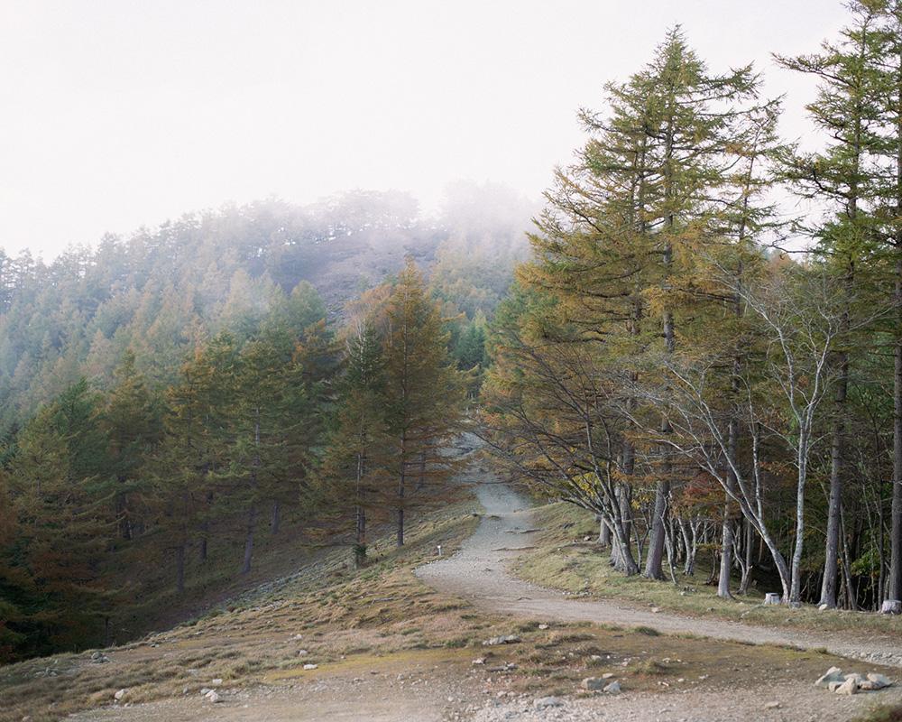 11月の山・雲取山｜写真家・野川かさねが選ぶ今月の山