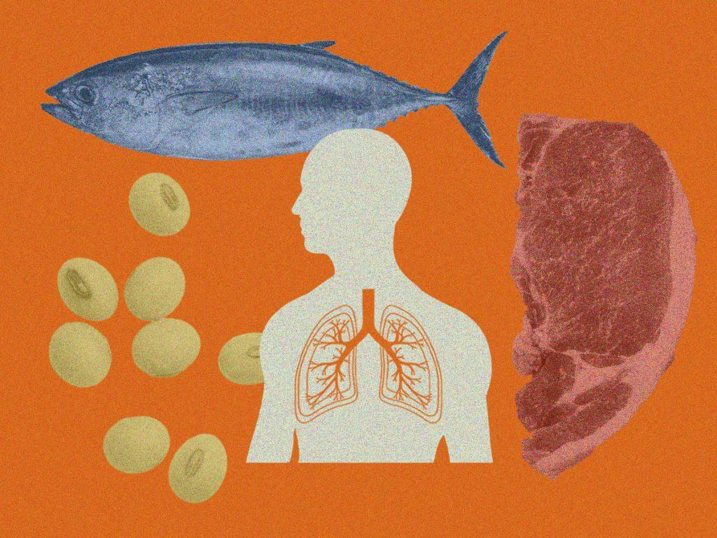 健康な肺づくりは良質なアブラ摂取から。呼吸器を改善する生活習慣5選。