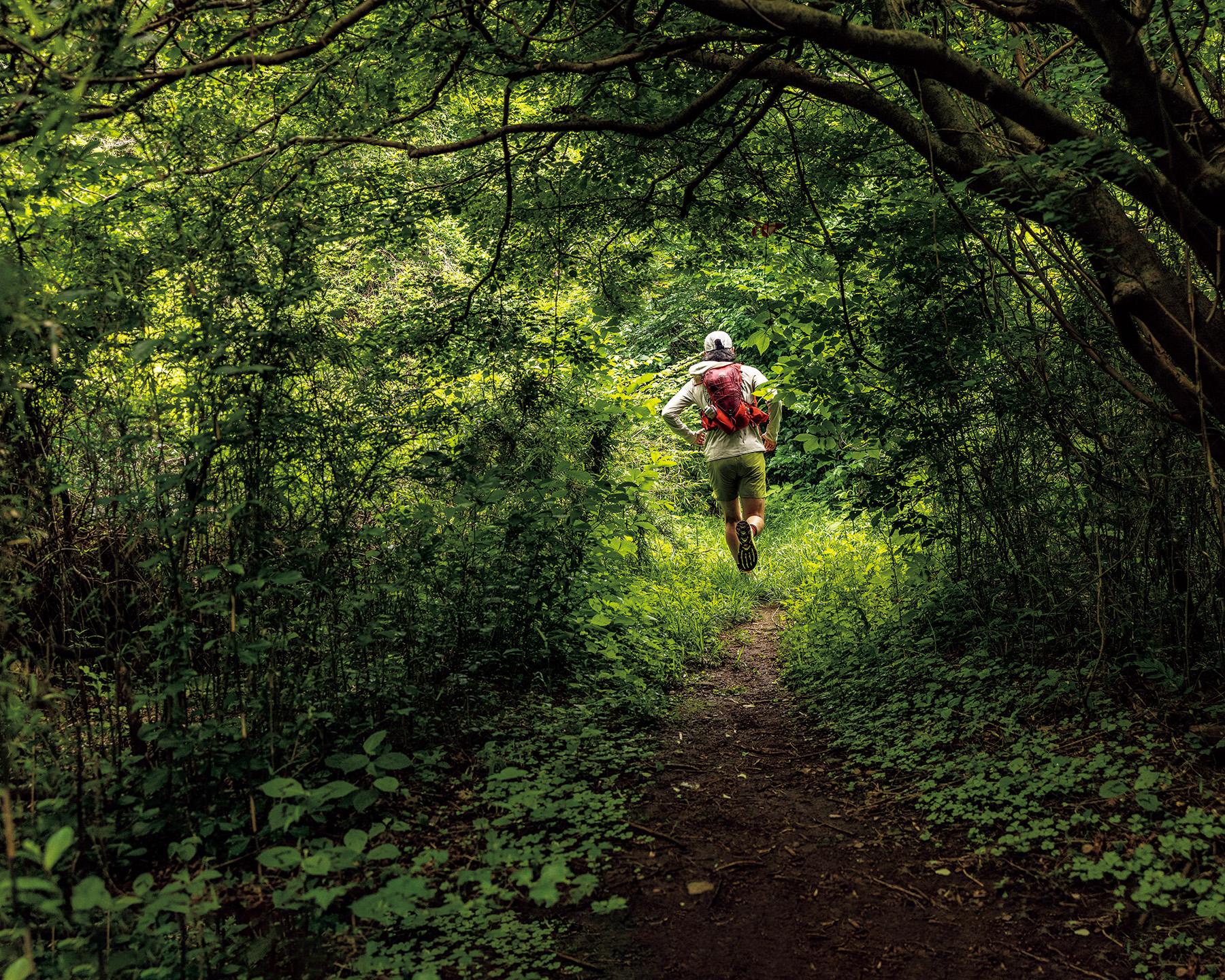 ウチサカさんのトレイル案内。神奈川県・静岡県［石川さんと湯河原の山。］