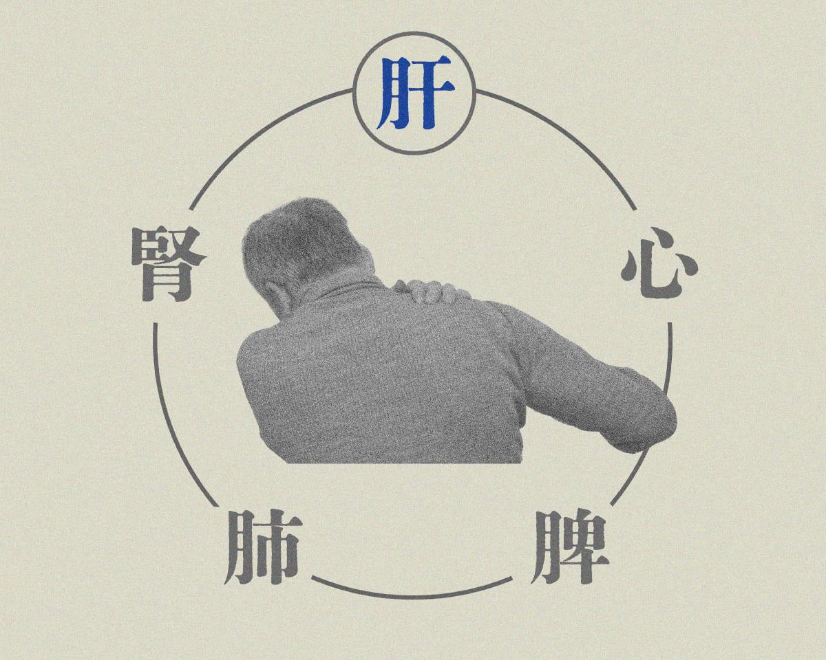 肝　不調別漢方カタログ