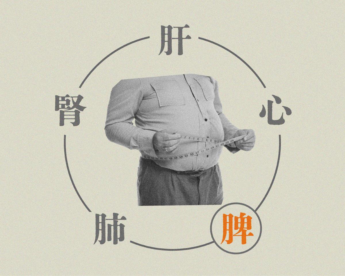 胃もたれや食欲不振にアプローチ！【脾】にまつわる漢方薬7選。