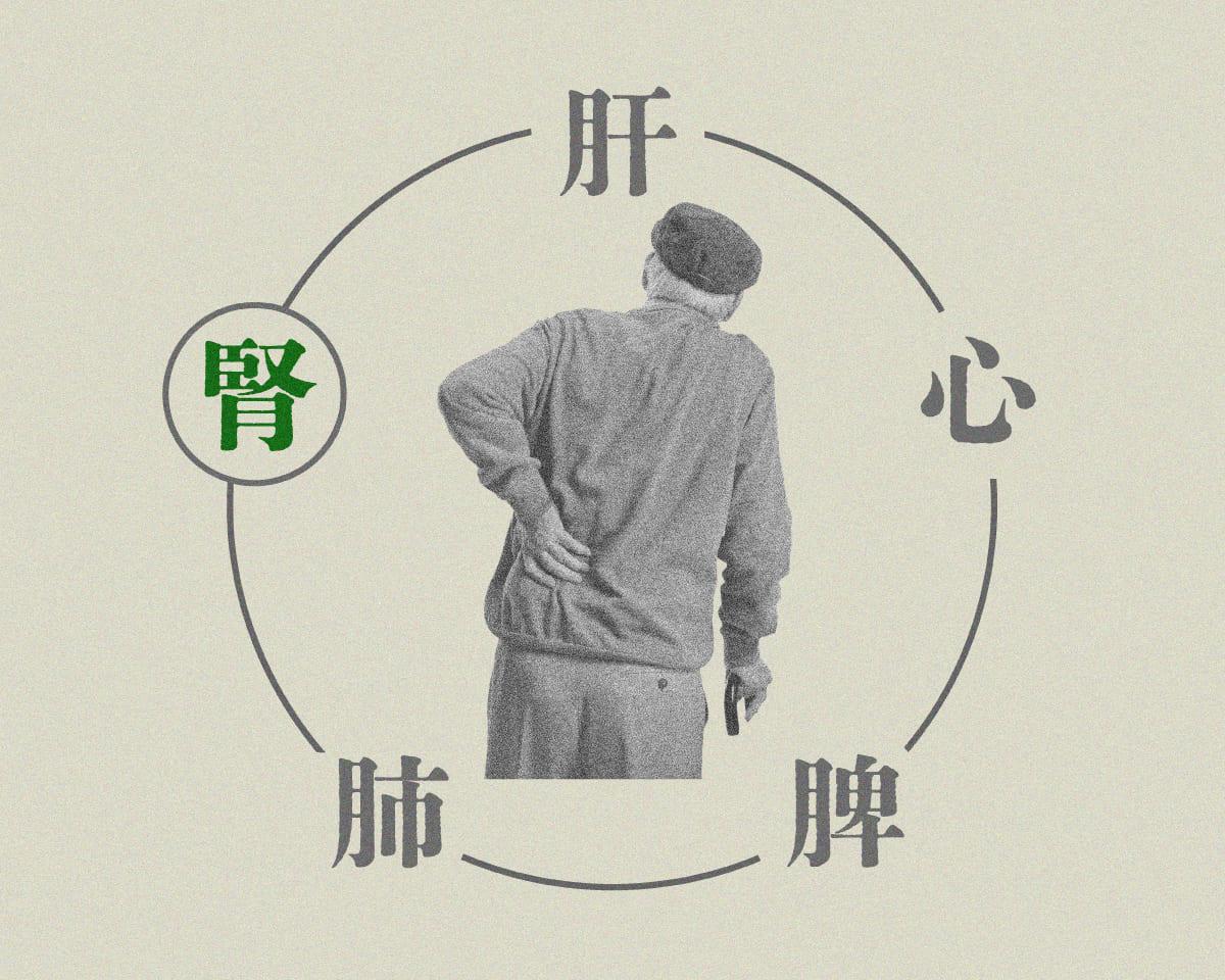 腎　不調別漢方カタログ