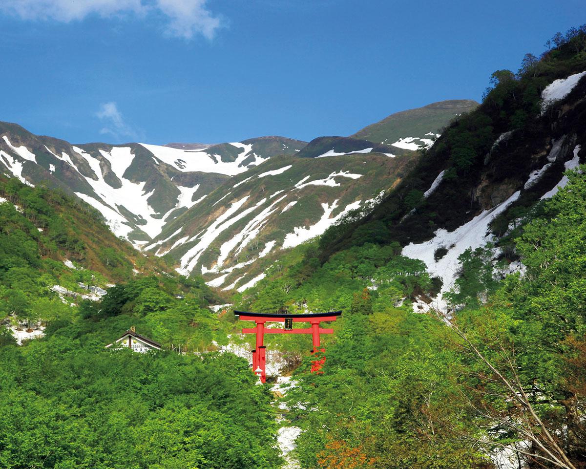 断食道場に“最強の湯治”まで。旅上手に聞く究極の「パワーチャージ旅」。