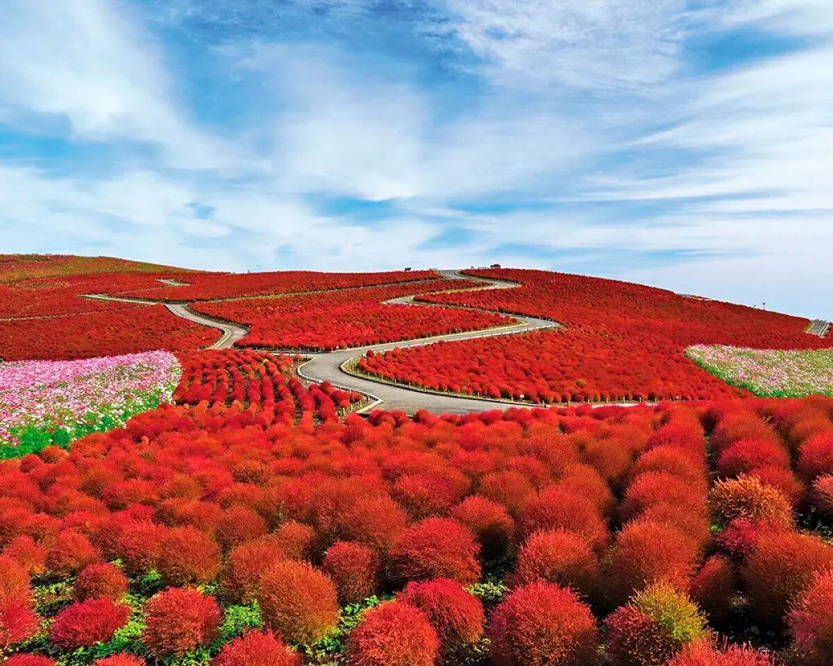 Tarzan Webが選ぶ、今週やりたいこと。｜2025年10月1週目のWeekly Watch List