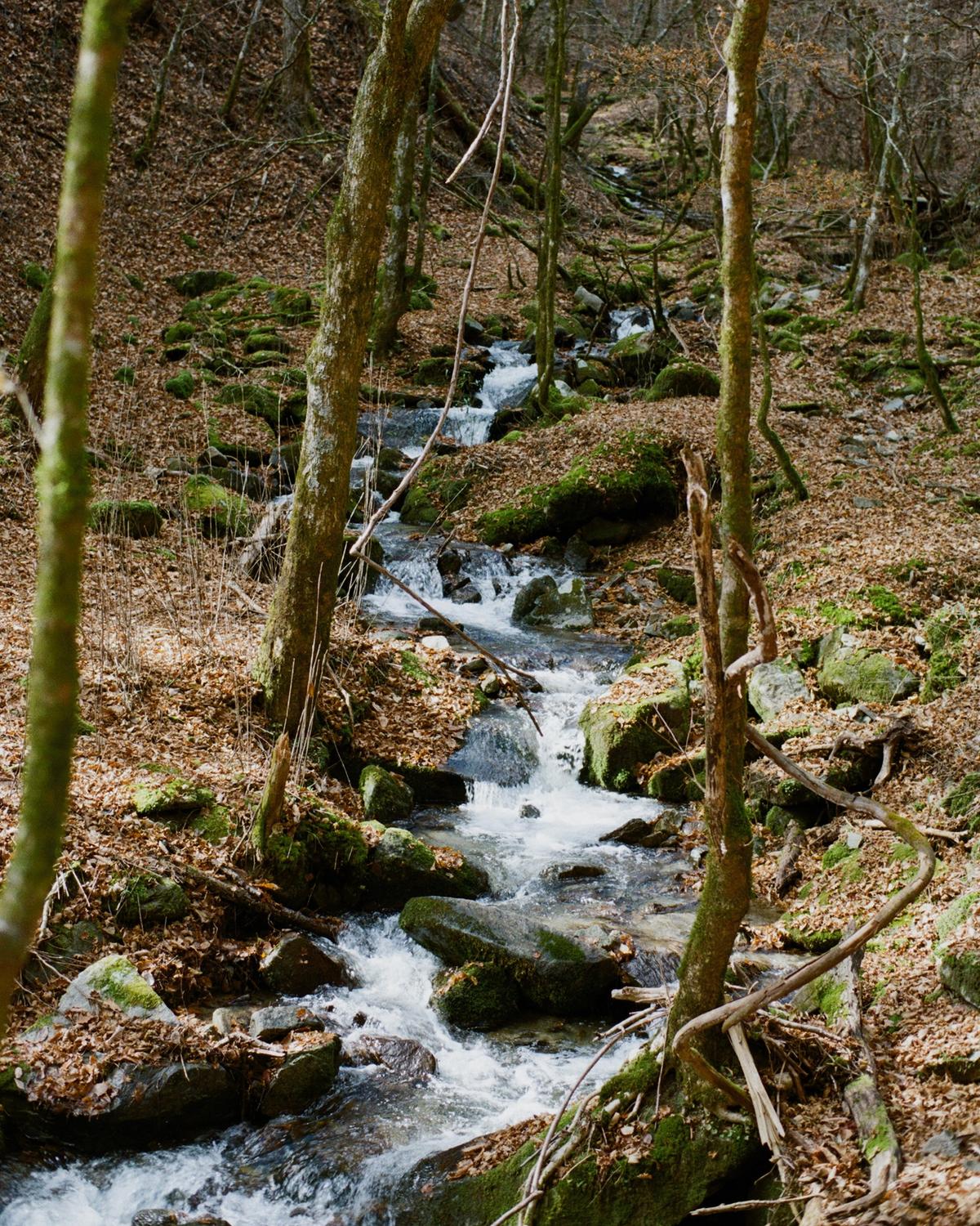 写真家が選ぶ今月の山
