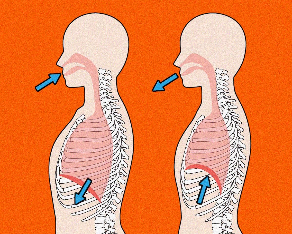 横隔膜を使った深い呼吸が、歪んだカラダを整える！