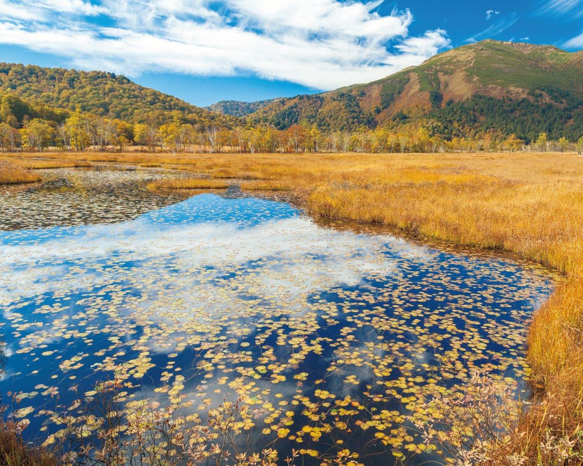 紅葉、絶景、森林浴にグルメ、秋に歩きたいコースガイド10選。