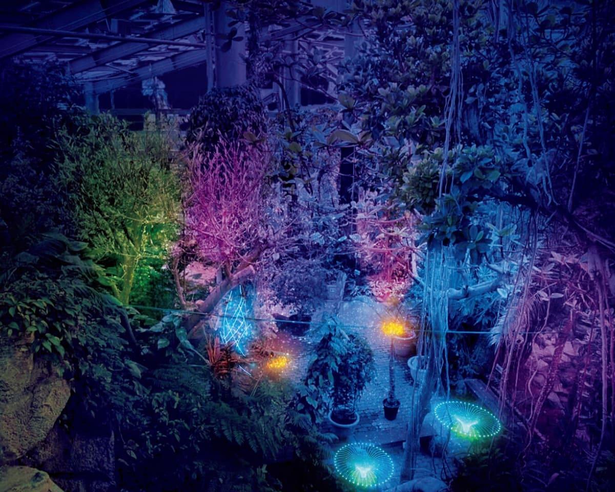 日本初！泊まれる植物園〈THE BOTANICAL RESORT 林音〉。