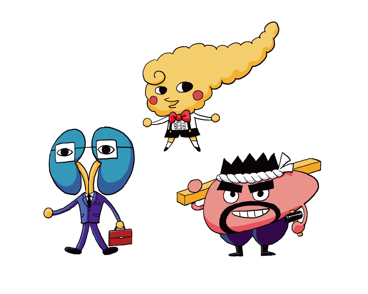 肝臓は親方、腎臓は勤勉家。膵臓は？毎日激務な3大臓器をキャラで解説。