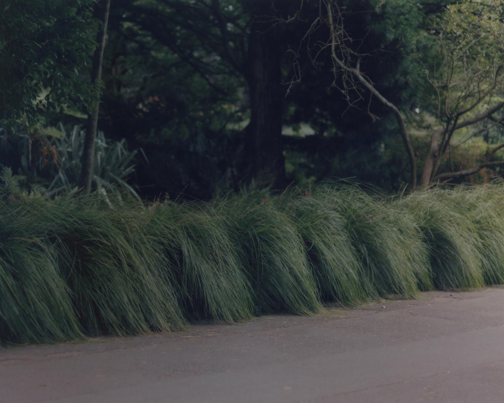 「満たされなさに満たされる」文・小谷実由｜A Small Essay