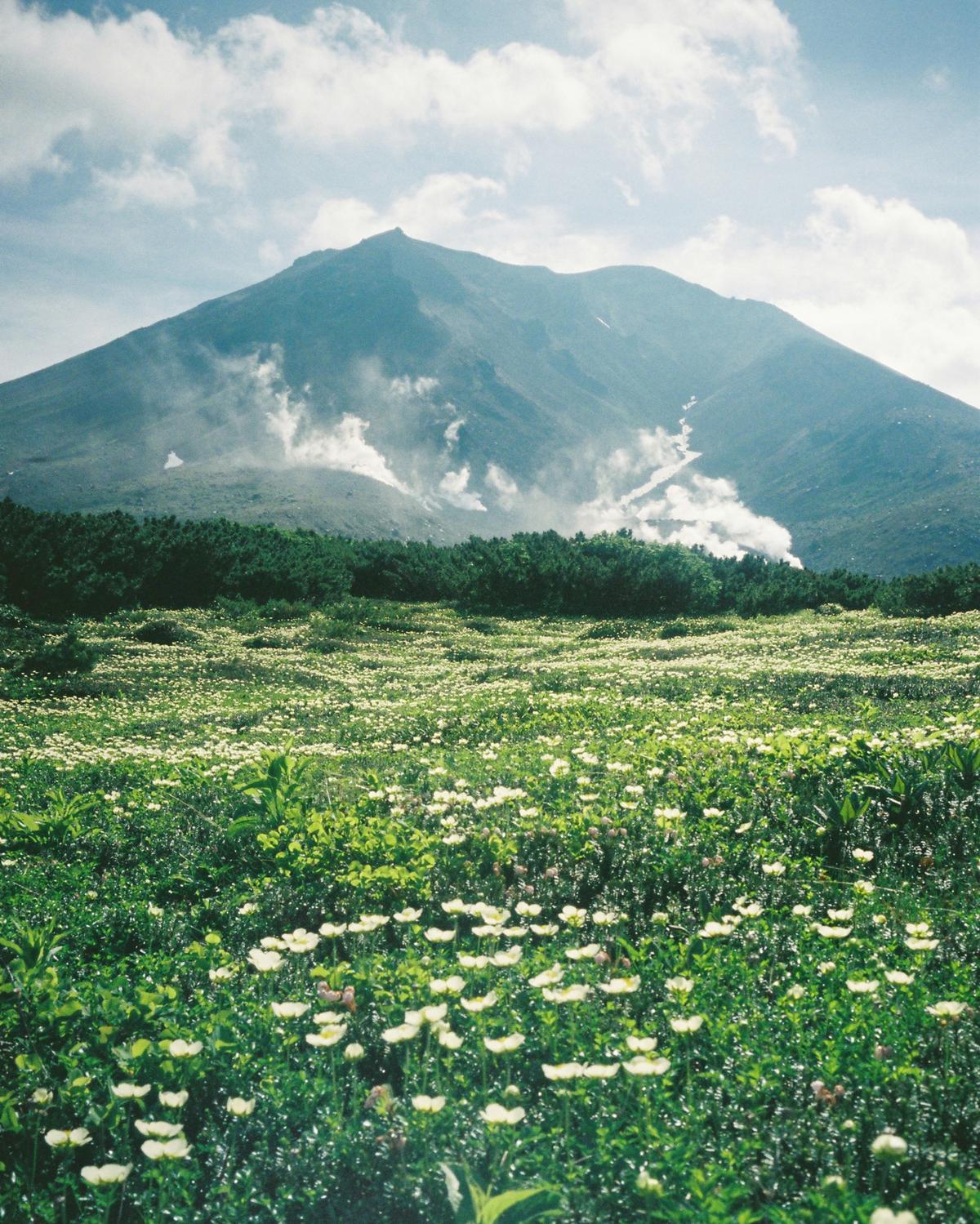 写真家が選ぶ今月の山