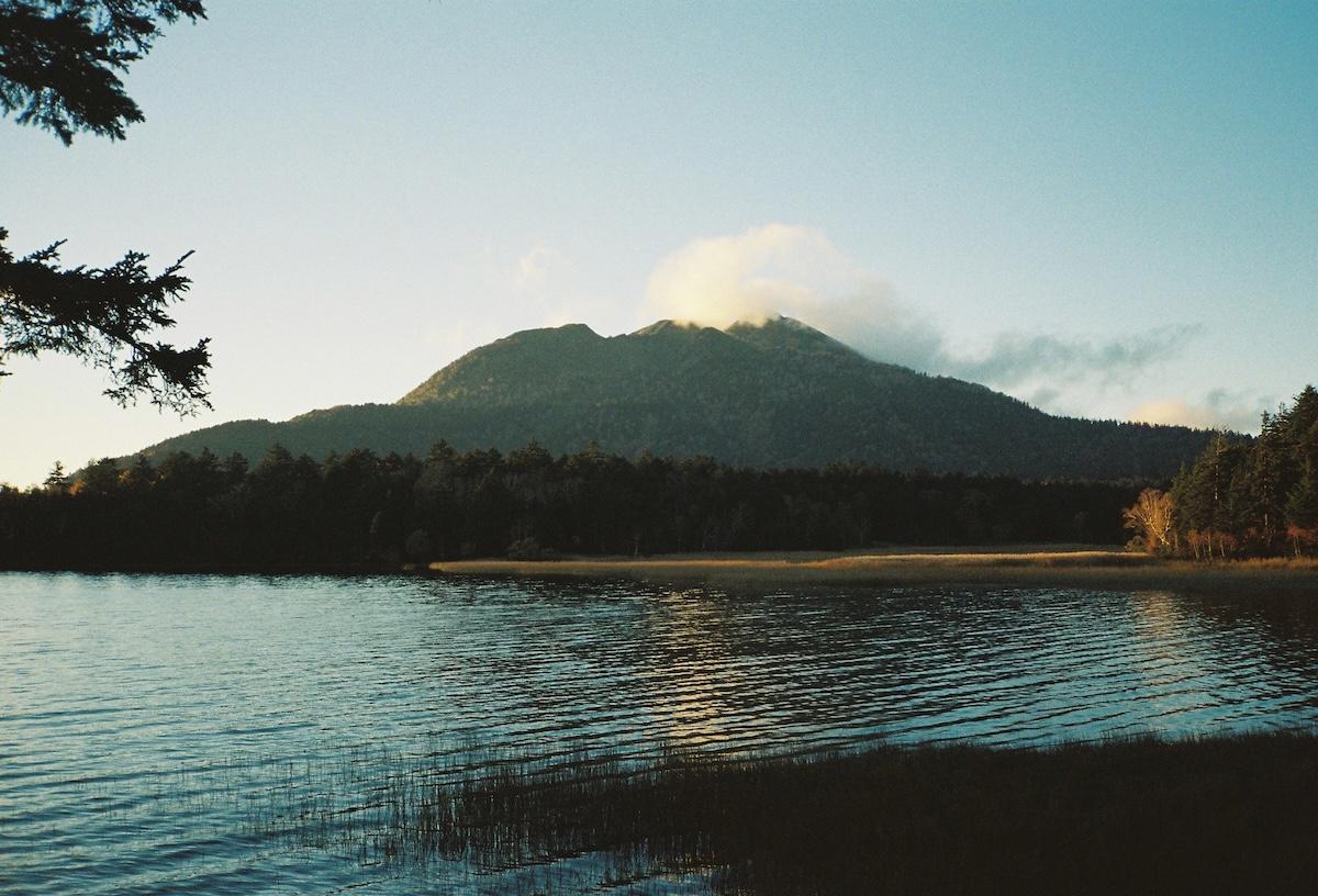 landscape_pattern1