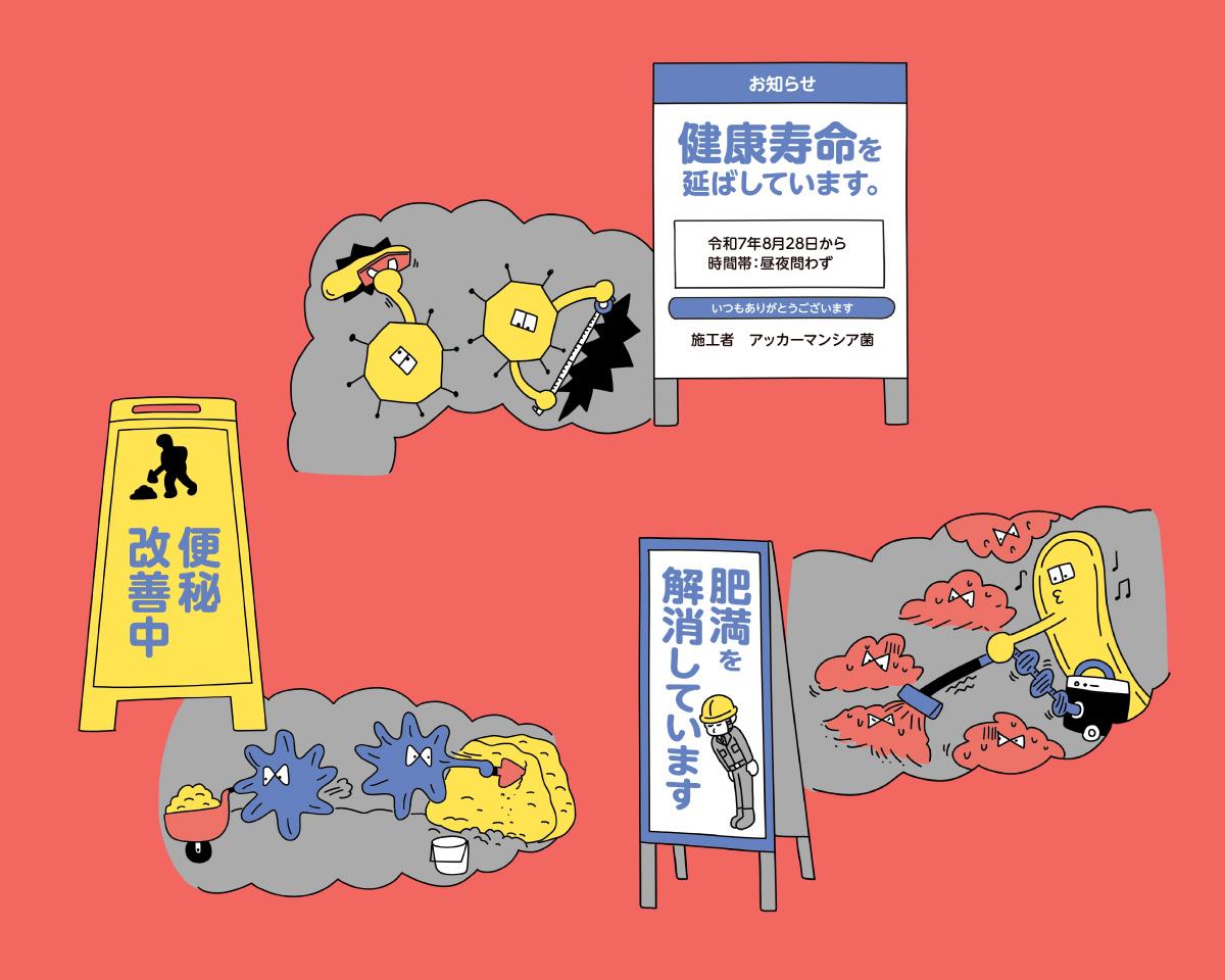 肥満解消や便秘改善まで?腸内細菌が担う5つの可能性。