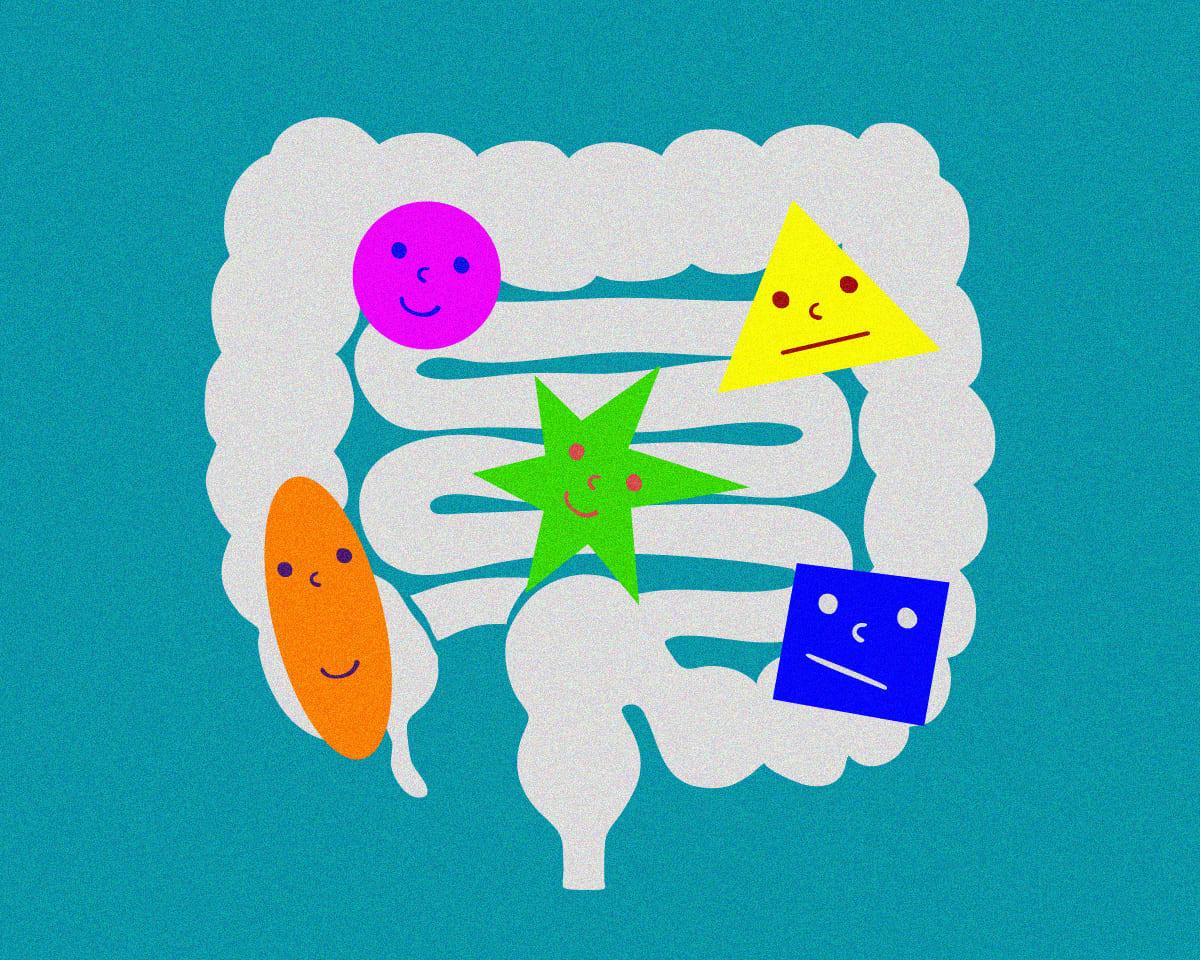 枯れた“おなか”に潤いを!腸内細菌を豊かにする方法。