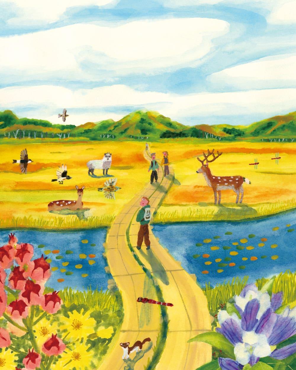 あえて山頂を目指さない。歩くことを楽しむ「フラット登山」の魅力。