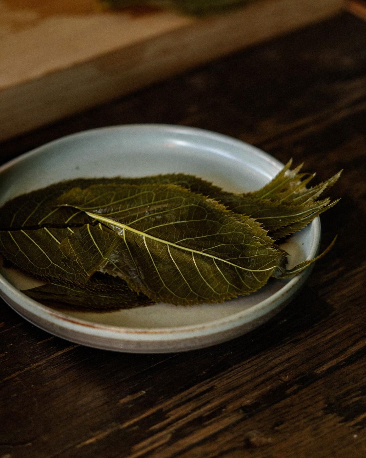 春の穏やかさを感じる「桜の葉」で、カルボナーラと桜香る抹茶を。|4月のハーブ・桜の葉