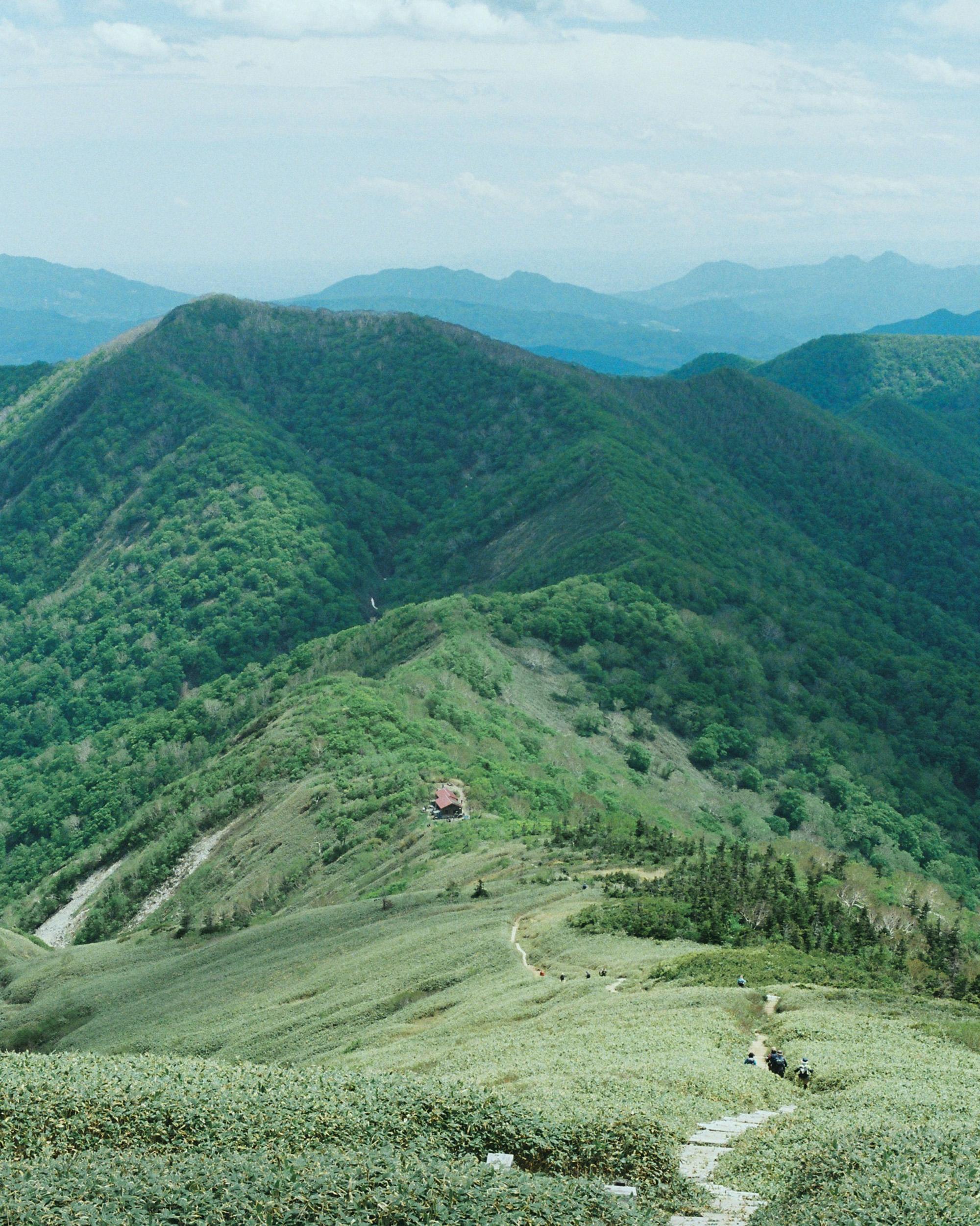 気持ちのいい稜線が続く、高山植物の楽園。|5月の山・平標山